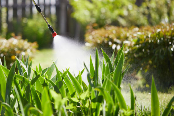 24/7 Emergency Wasp Removal experts in Kingsland, GA
