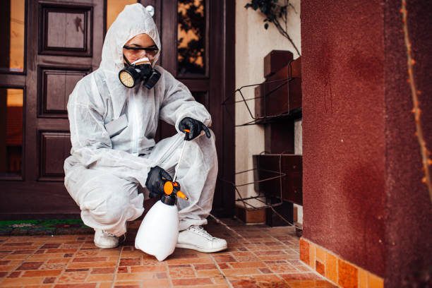 Reliable Wasp Removal contractor in Kingsland, GA by Show Me Pest Control
